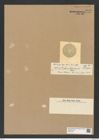 Actinocyclus fasciculatus Castr. (de-Toni-Nr.: Genus 195, Species 4776) Zeichnungen Sammlung Grunow Nr. 8410 (NHMW-BOT-W0377851)